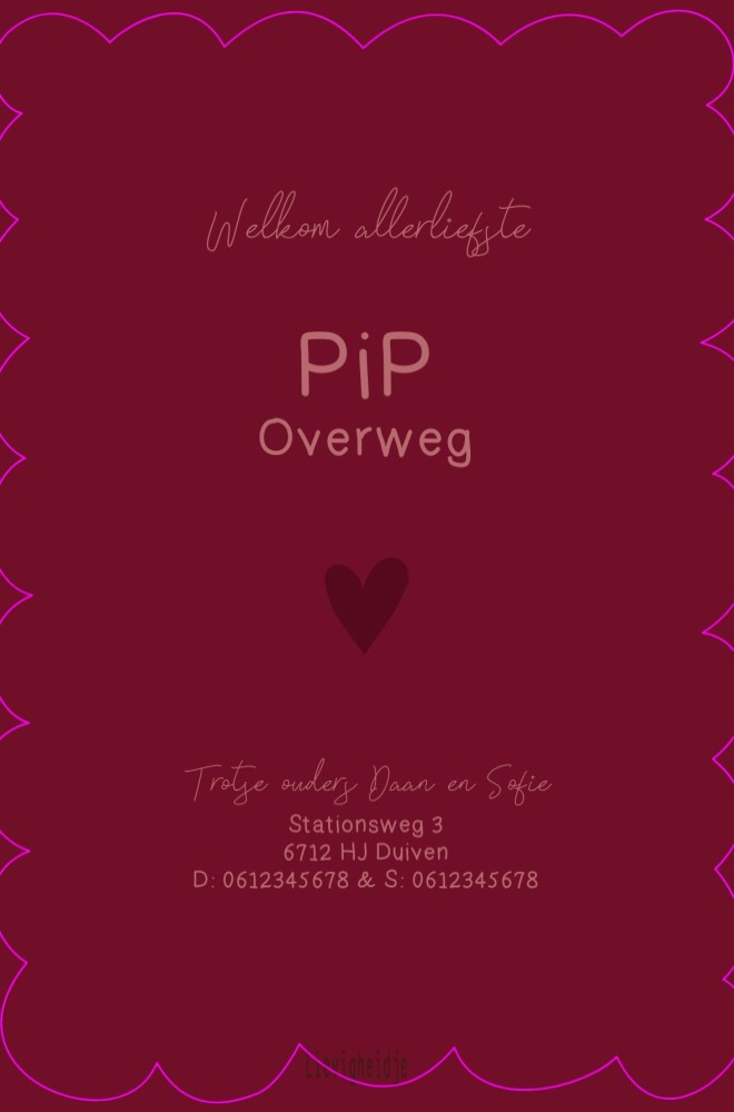 Geboortekaartje meisje met kleine hartjes in een koekievorm - Pip